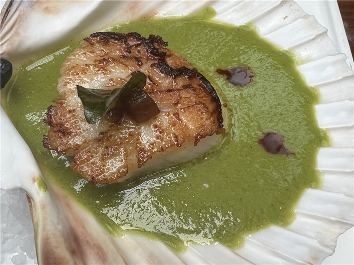 scallop